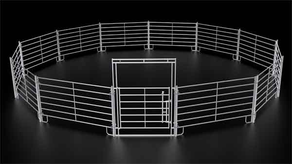 Breaking Round Pen